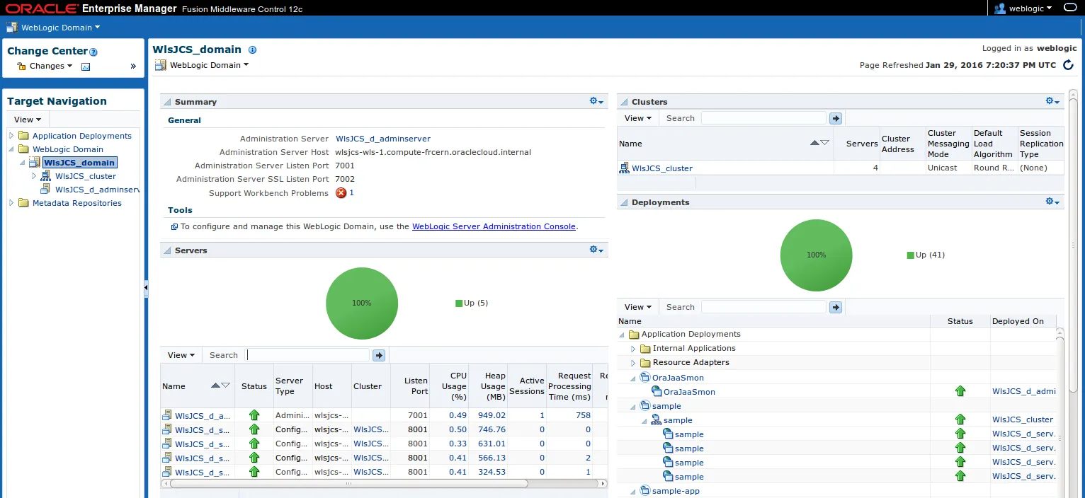 Enterprise Manager Console